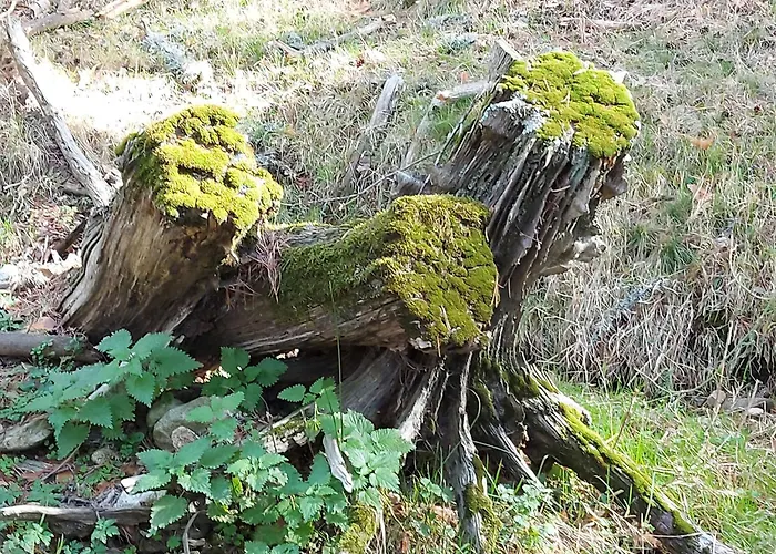Casa El Arrebol Rural, Piscina Climatizada 펜션 Los Ángeles de San Rafael
